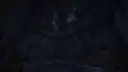 It watches