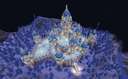 Ice Fractal Castle (Free Download) Minecraft Map & Project