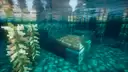 Car underwater