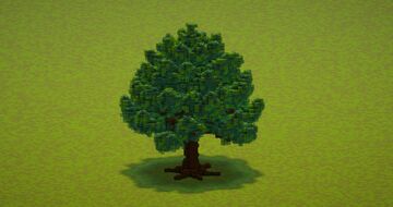 Pine tree Minecraft Map & Project
