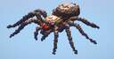 spider small Minecraft Map & Project