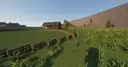 Historia farm