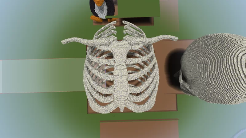 Minecraft Rib Cage Build Giant Human Skeleton Ribcage Minecraft Map