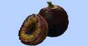 maracuja Minecraft Map & Project