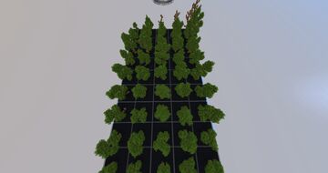 50 Oak Trees | Check profile for download Minecraft Map & Project