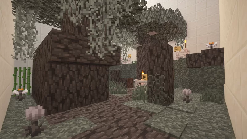 Screenshot5