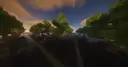 Some of the middlesmall trees