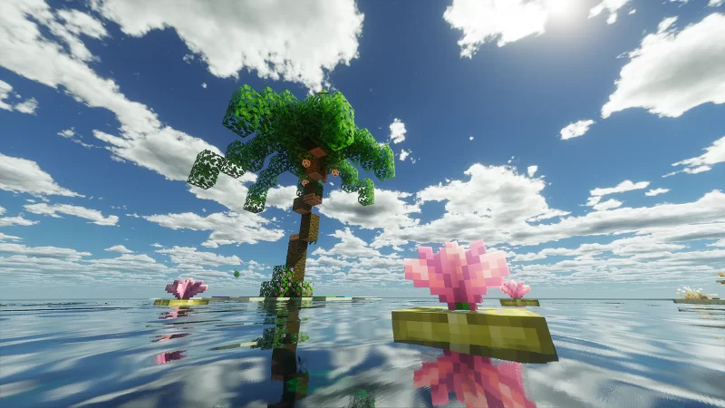 very Small Tropical Island Minecraft Map