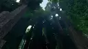 Forest of Giant Trees
