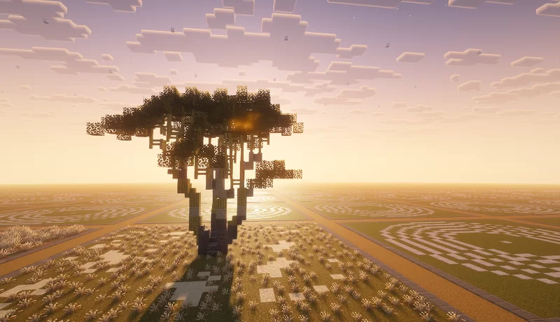 Fever Tree - Acacia xanthophloea Minecraft Map