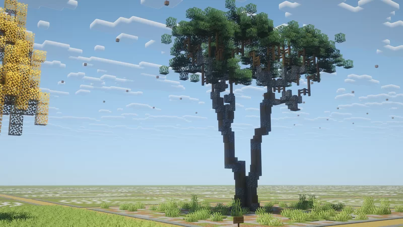 Stone Pine - Pinus pinea Minecraft Map