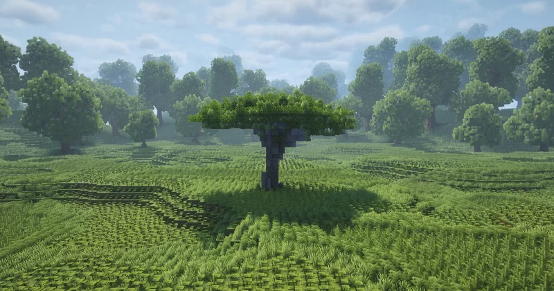 Acacia Tree [Download] Minecraft Map