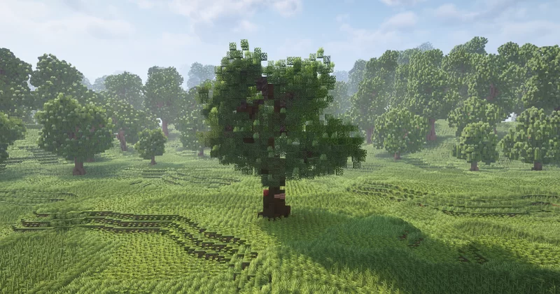 Dark Oak Tree [Download] Minecraft Map