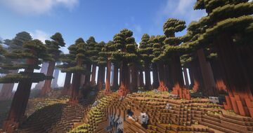 🌴Mangrove MC🌴 | 🏳️‍🌈 LGBTQ+ Friendly 🏳️‍⚧️ | 🛏️ Furniture 🛏️ | ⛰️ Custom Worldgen ⛰️ | 🪄 Magic 🪄 & 🗡️ MCMMO 🗡️ Minecraft Server