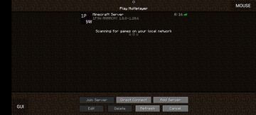 1P9W Minecraft Server