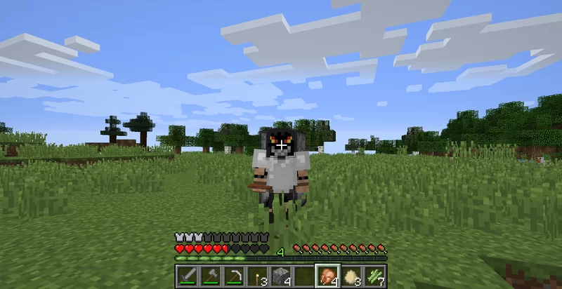Little village Minecraft Server