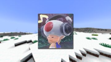 The Toad Mods Minecraft Server