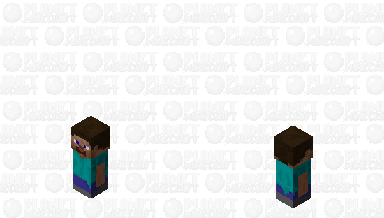 Tiny Steve Minecraft Skin