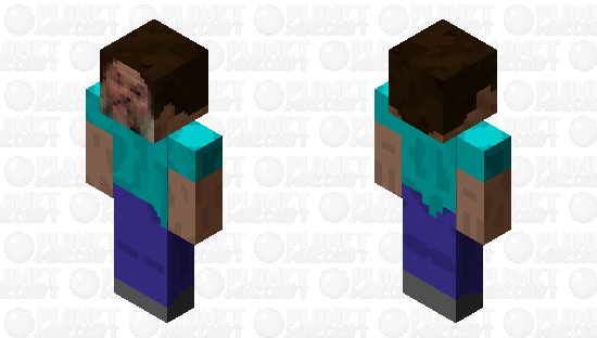 I...am Steve. Minecraft Skin