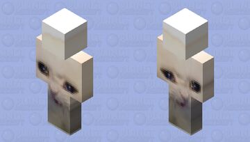 Crying Cat Meme Minecraft Skin