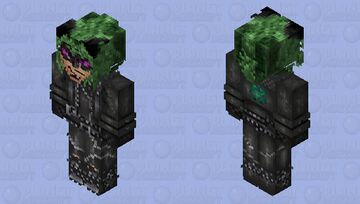 Claw Noir / Griffe Noire (Miraculous World: Paris -Tales Of Shadybug And Claw Noir) Minecraft Skin