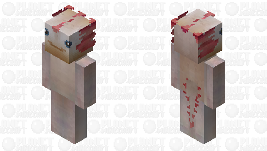 Axolotl Minecraft Skin