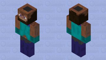 Inverted body parts steve Minecraft Skin
