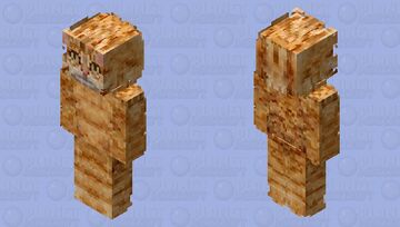 Orange Tabby Minecraft Skin