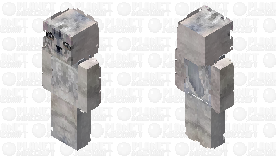 Maine Coons Minecraft Skin