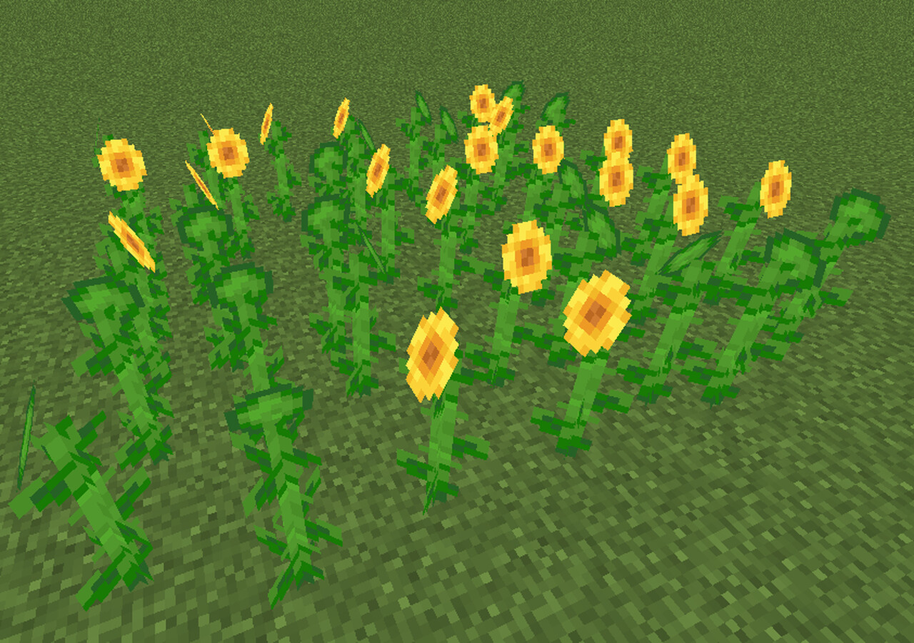 Rotated Sunflowers Minecraft Texture Pack
