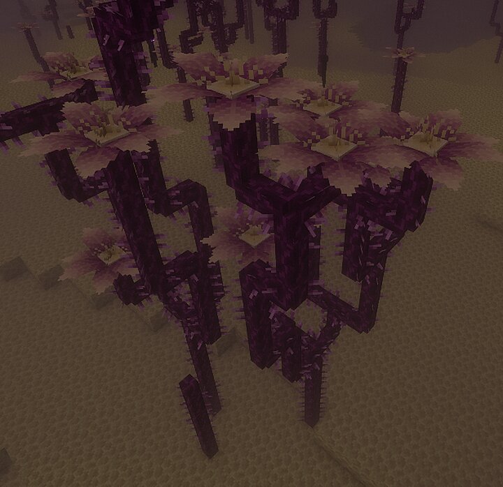 BetterEnd Chorus flowers Minecraft Texture Pack