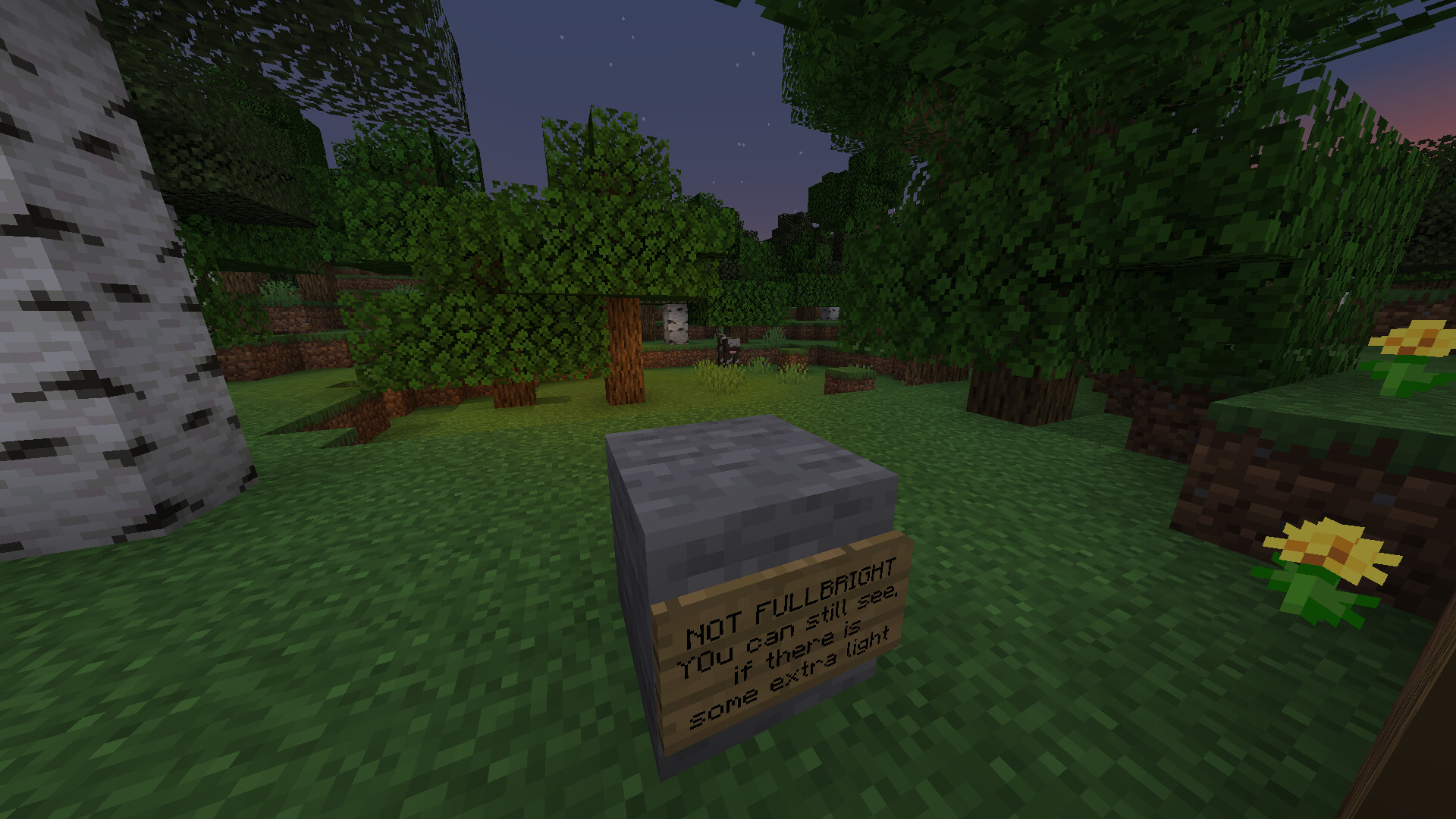 Better Light Minecraft Texture Pack