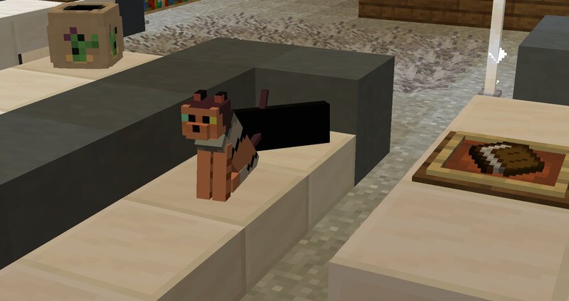 Bedrock Catra Cats Minecraft Texture Pack