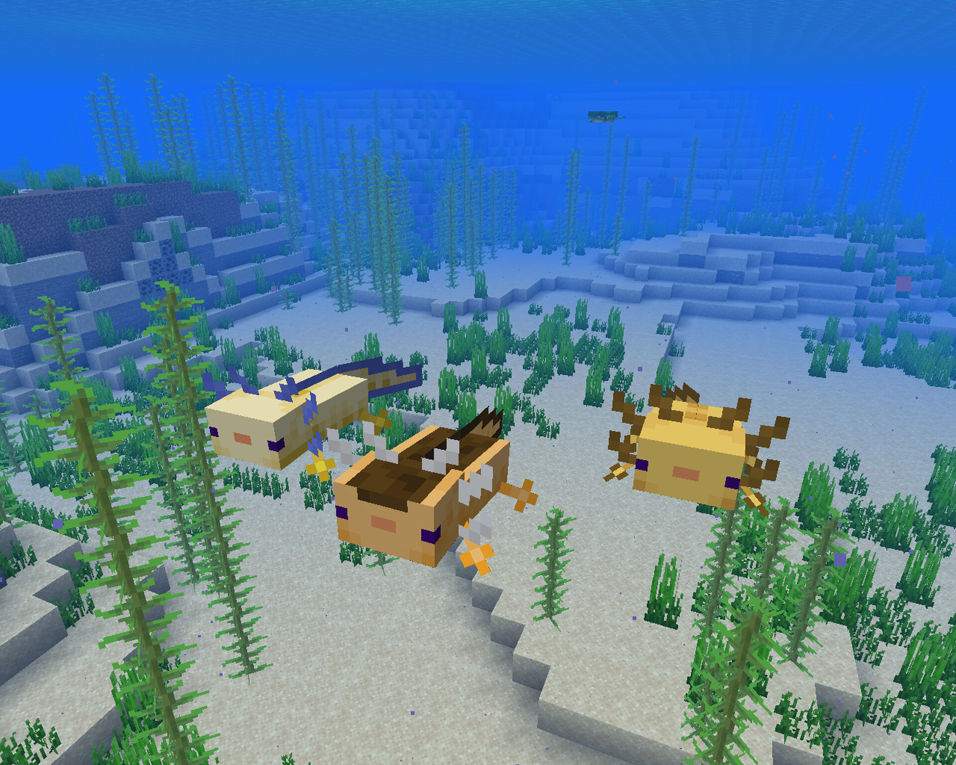 Variated Axolotls Minecraft Texture Pack