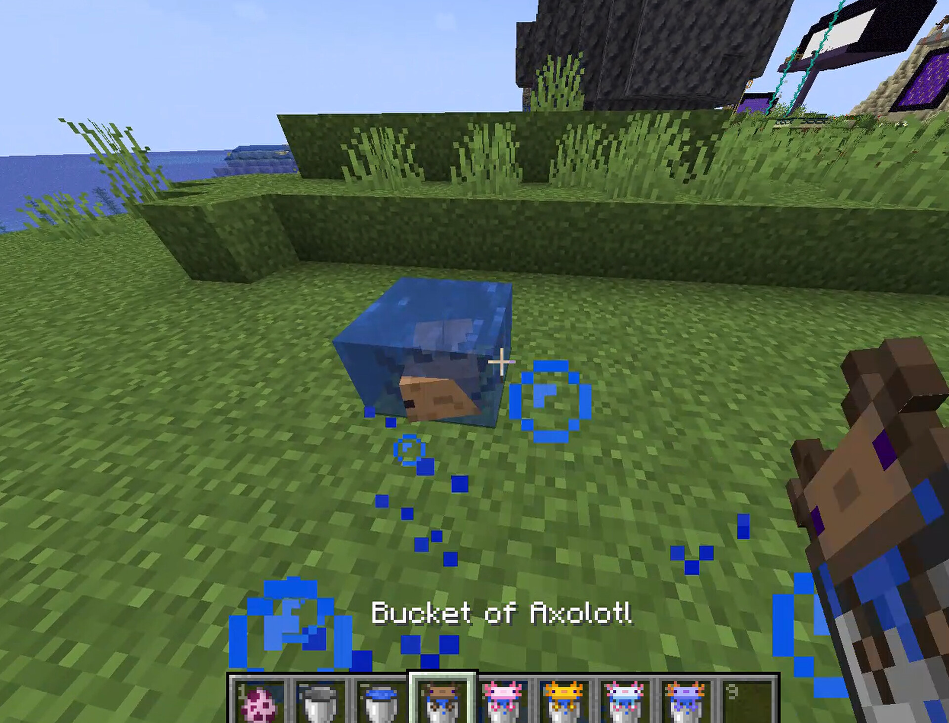 Visual Axolotl Buckets (OPTIFINE REQUIRED) Minecraft Texture Pack
