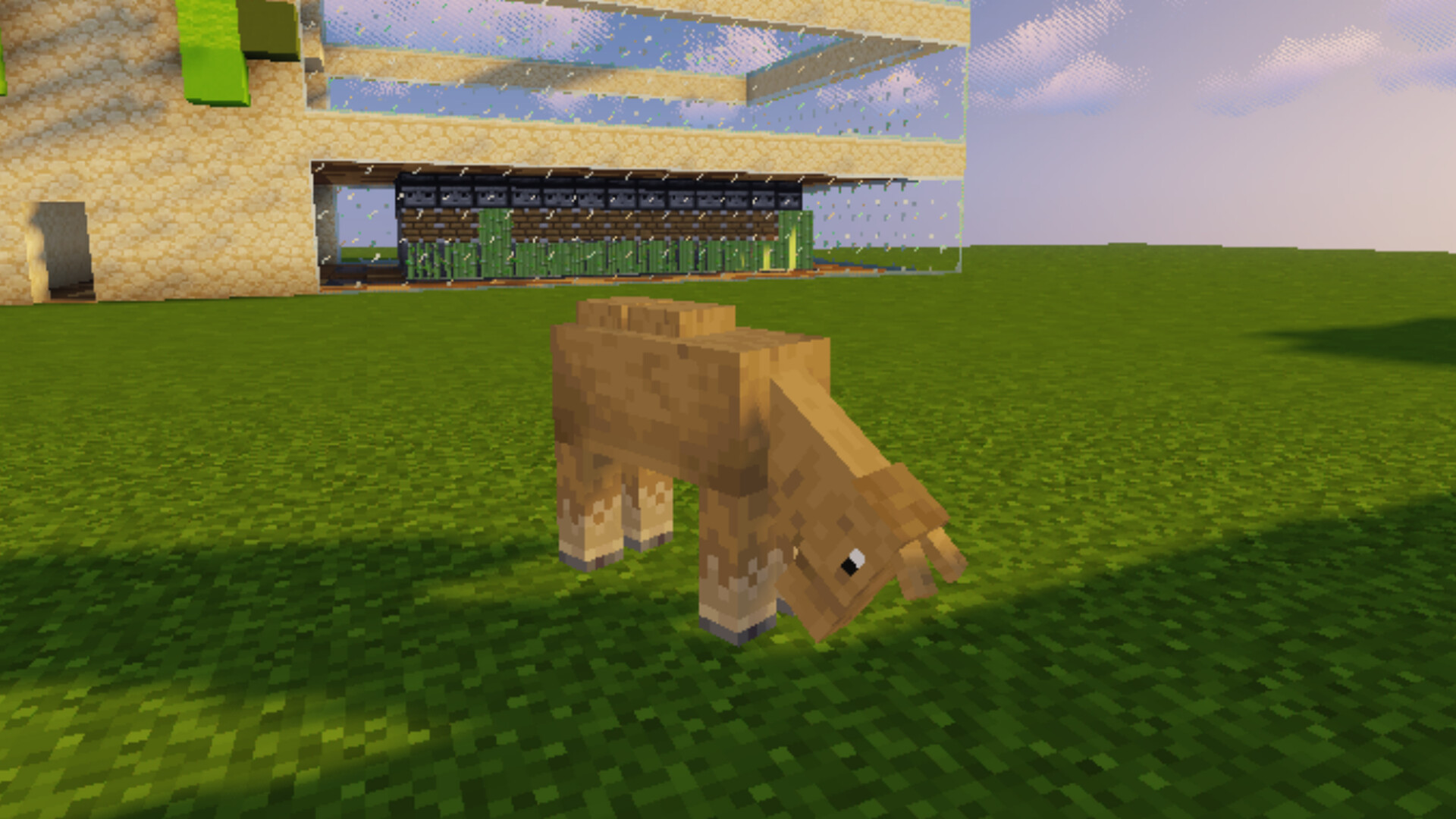 Donkey To Camel Minecraft Texture Pack