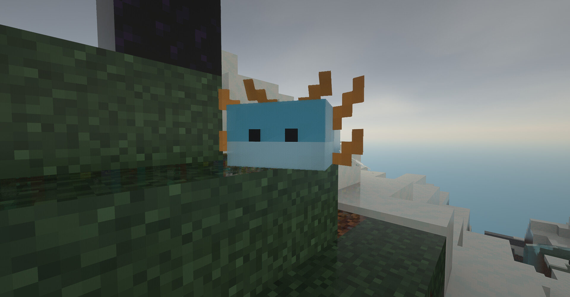 Mudkip over axolotl! Minecraft Texture Pack