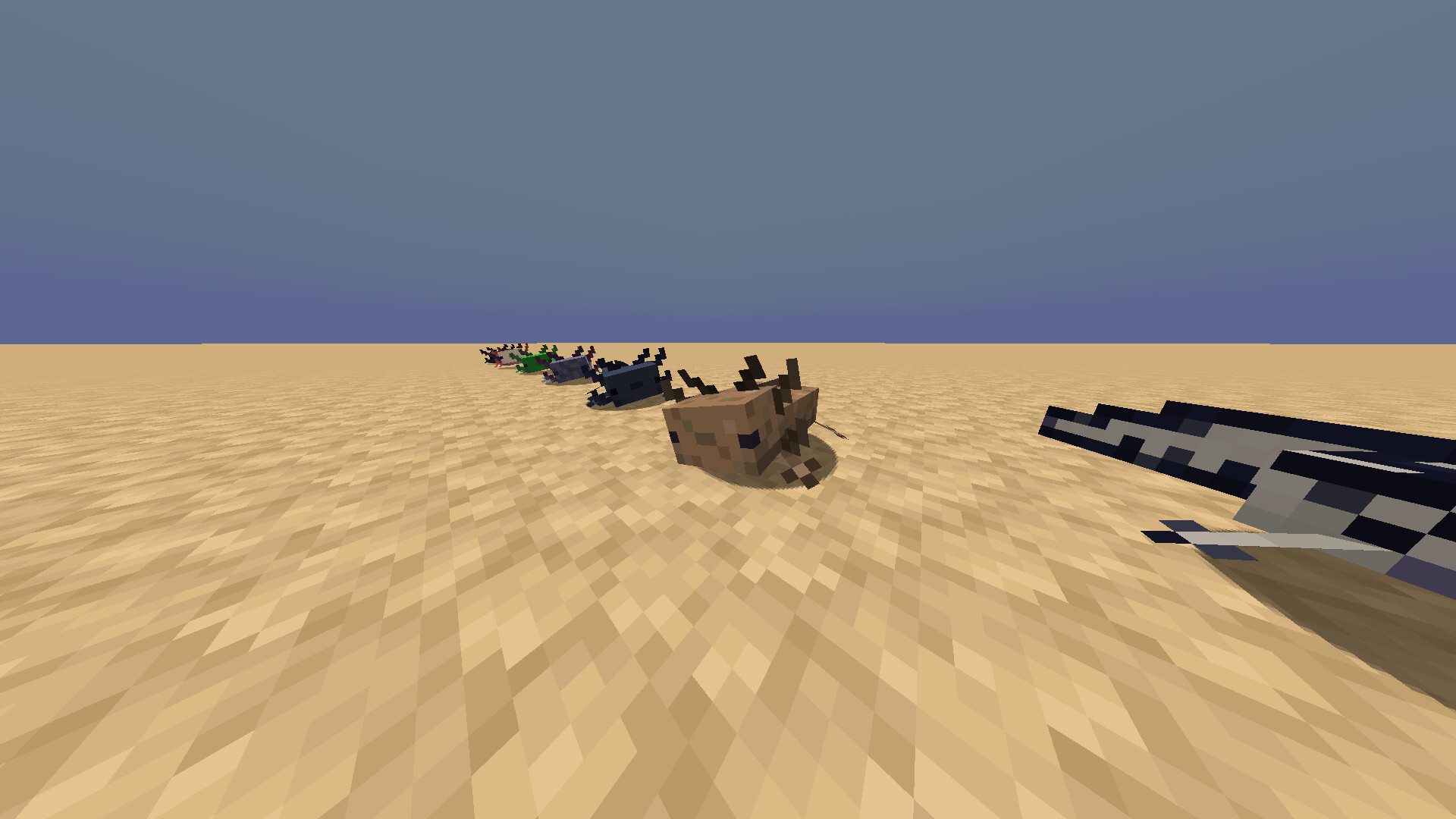 More Axolotl Colors Minecraft Texture Pack