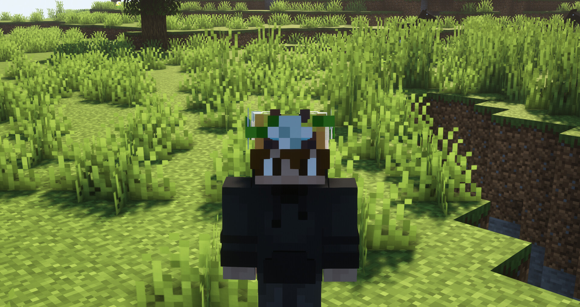 Gabibo's Flower Crowns Minecraft Texture Pack