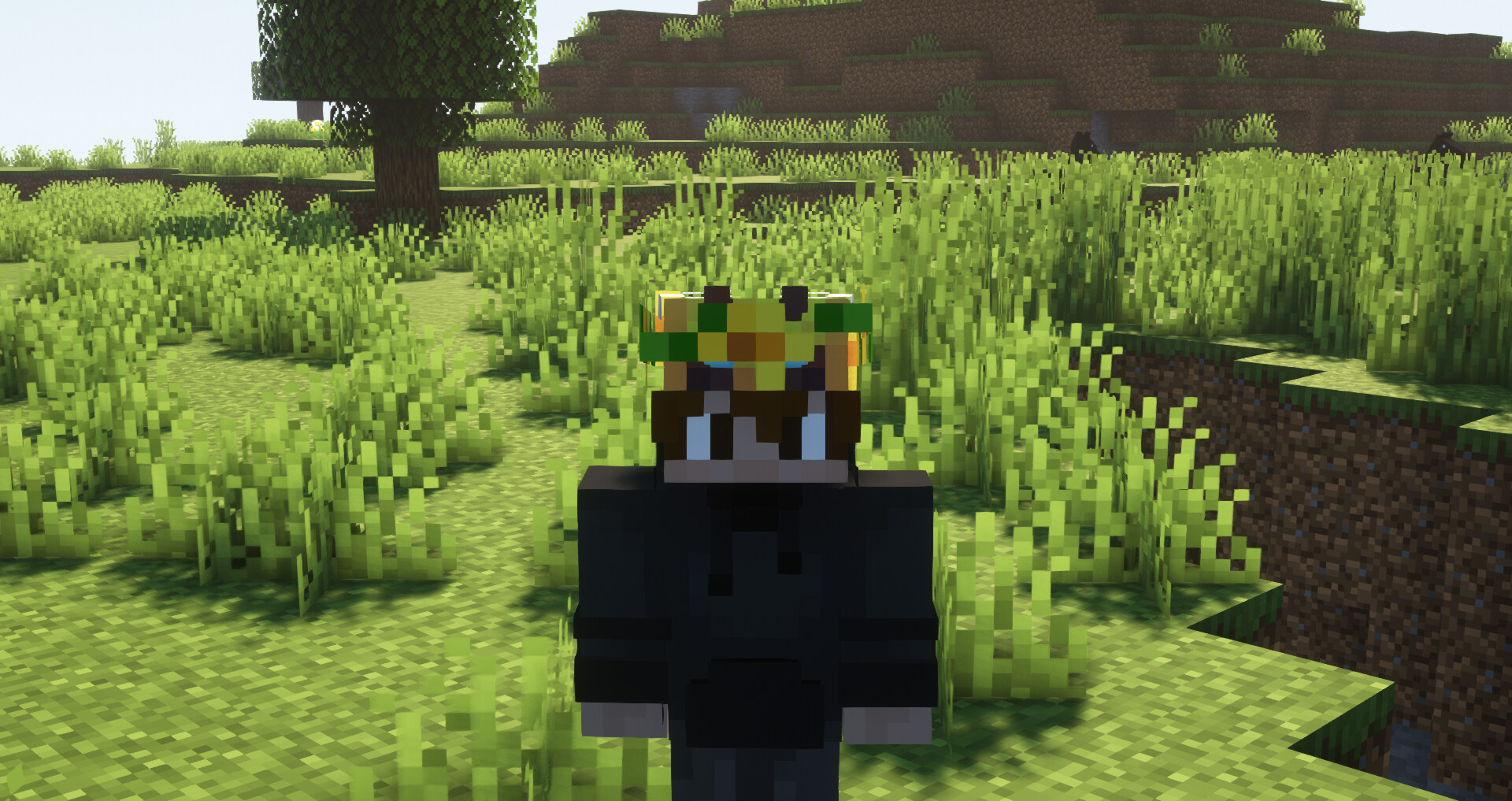 Gabibo's Flower Crowns Minecraft Texture Pack