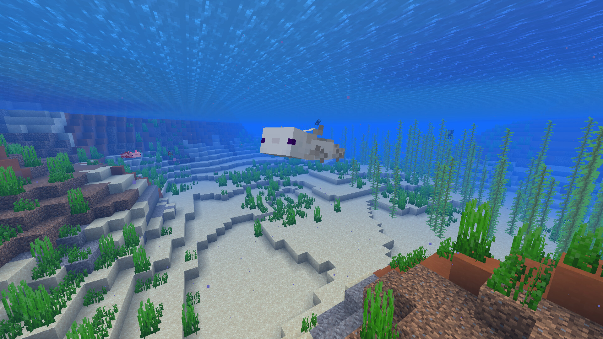 White Axolotl Variant Minecraft Texture Pack