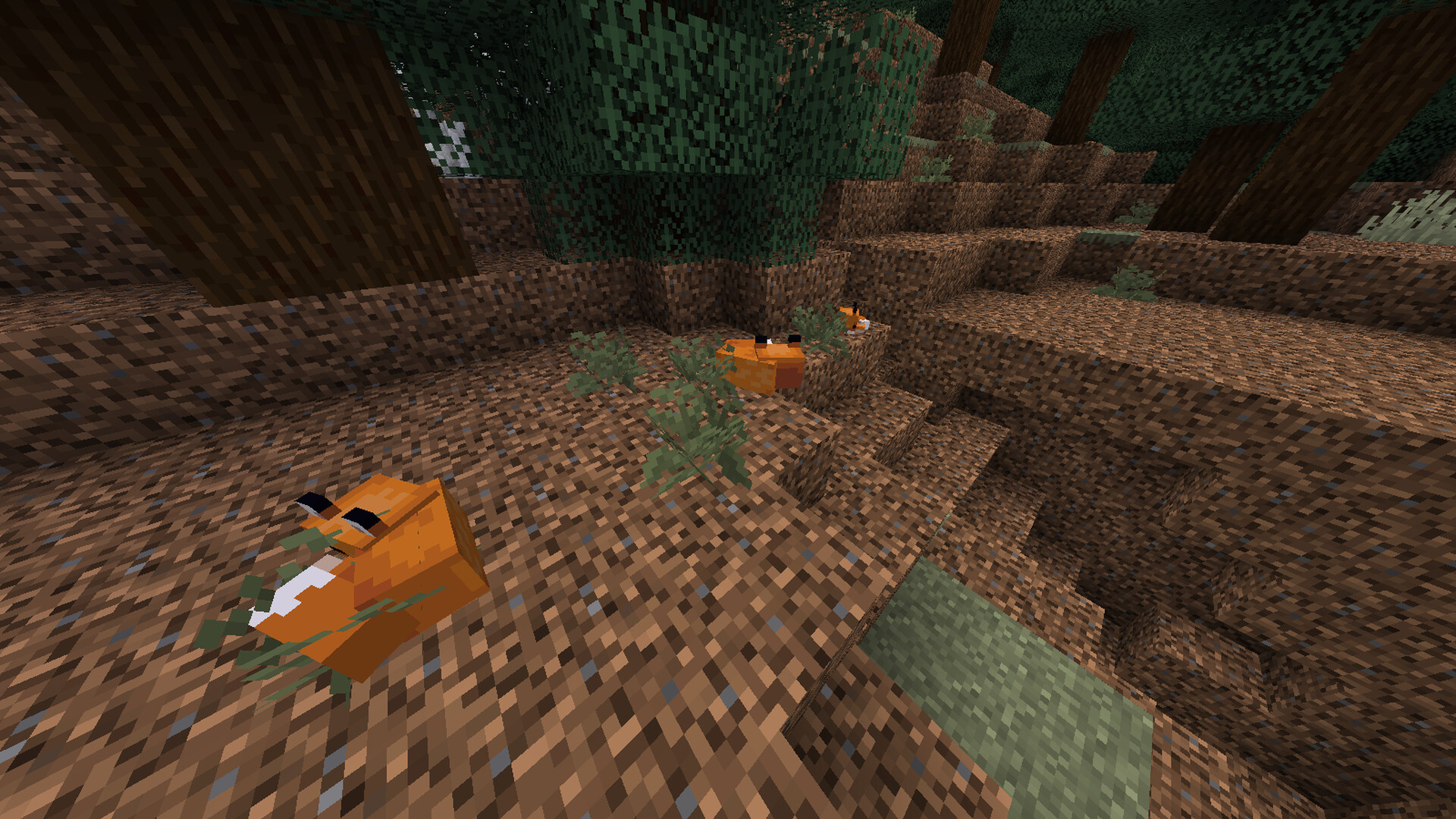 Improved Fluffy Ferns Minecraft Texture Pack