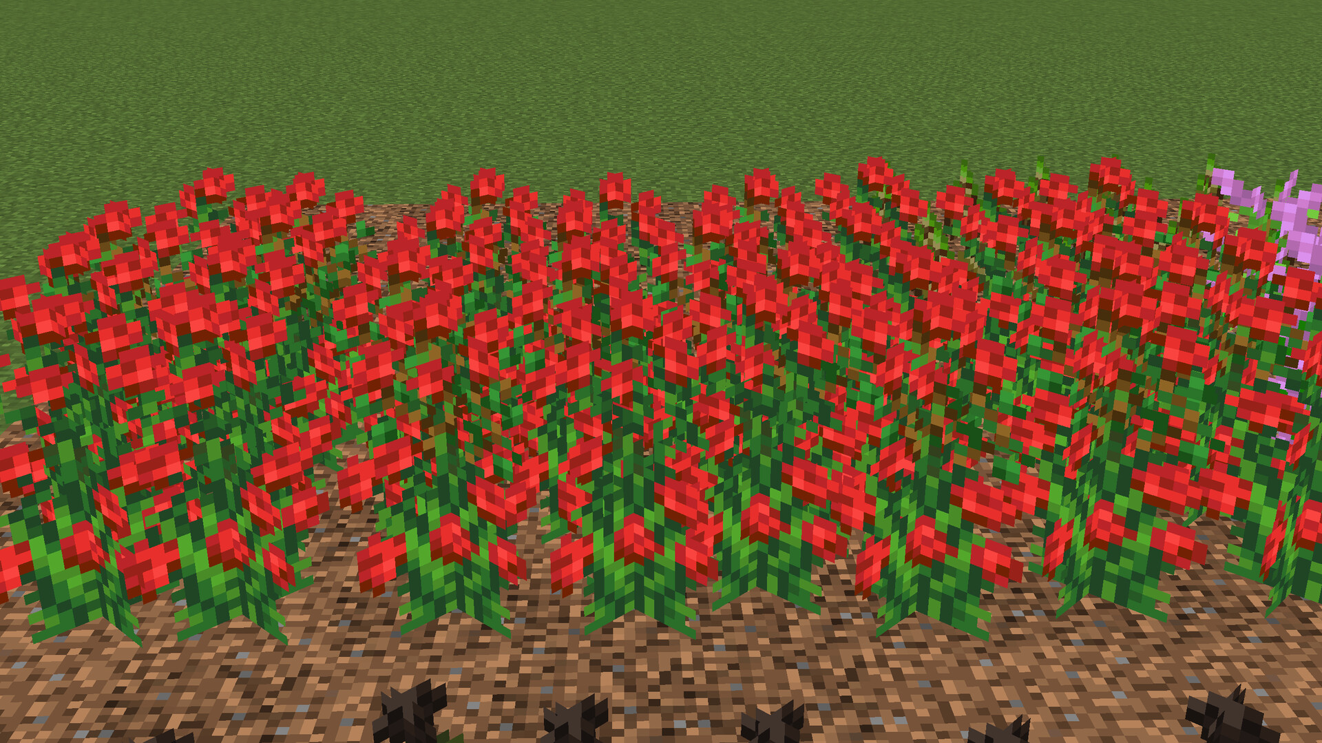 Petals & Blossoms Minecraft Texture Pack