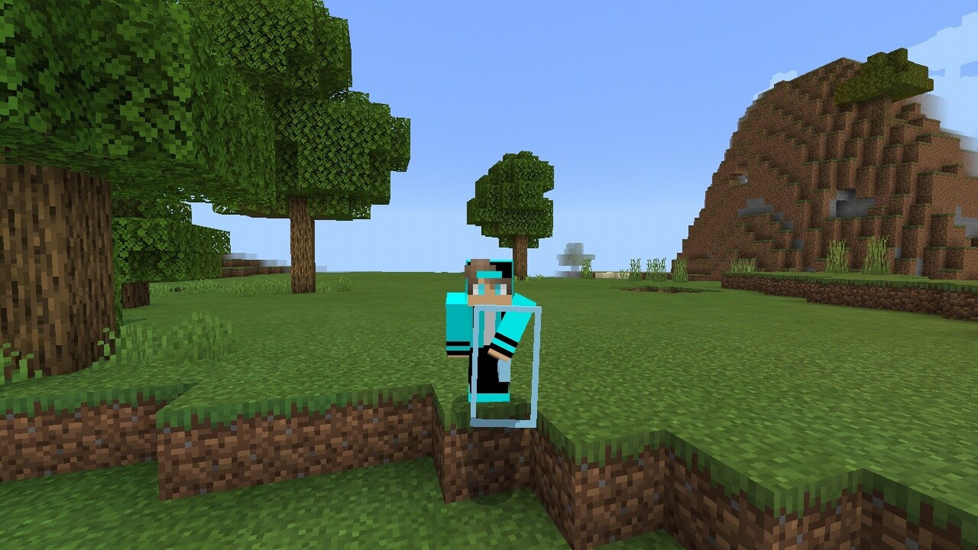 transparent shield and totem [MCPE/MCBE/MCWin10] only Minecraft Texture