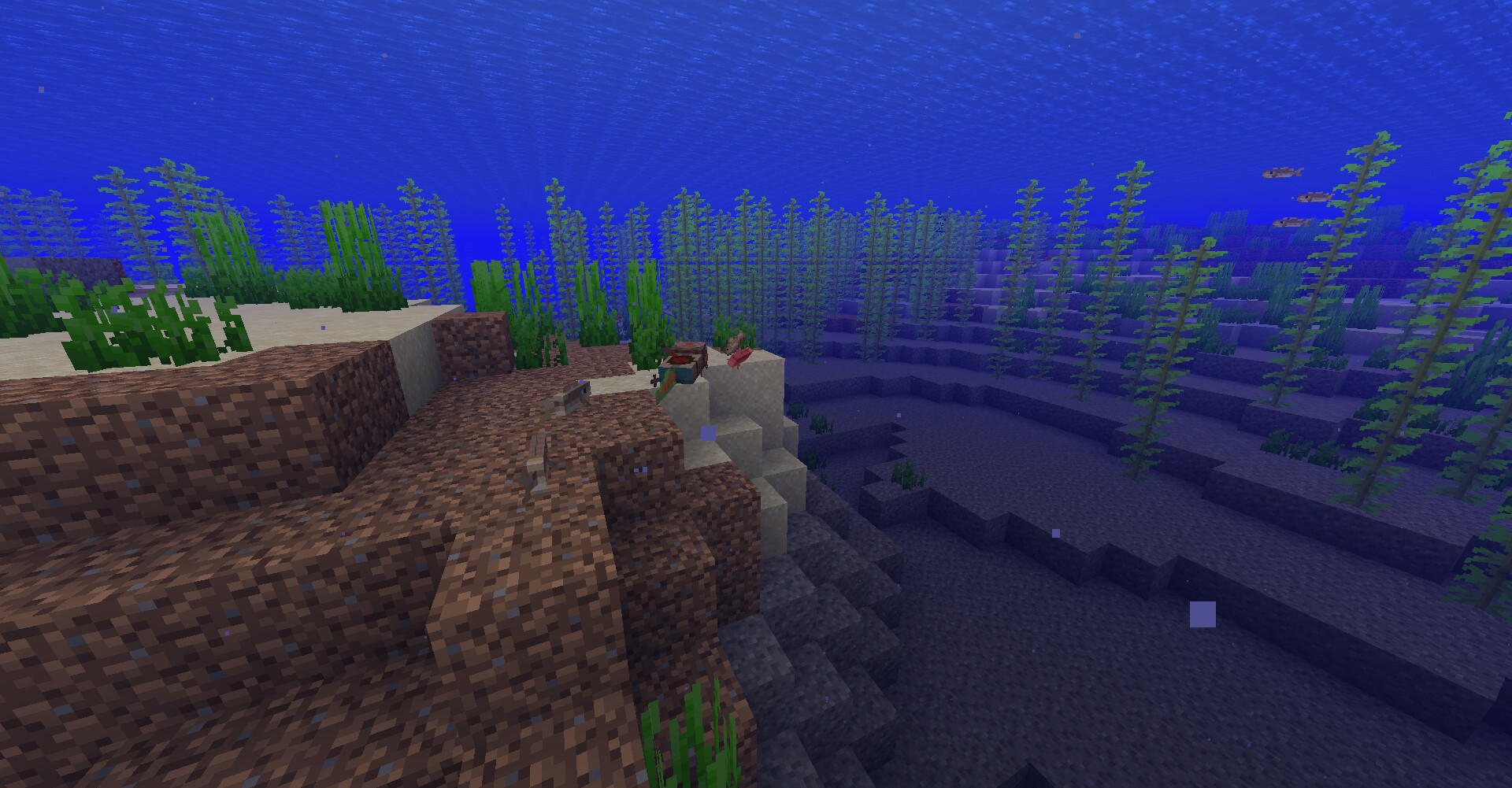 Razputin Gold Axolotl (Java Edition) Minecraft Texture Pack