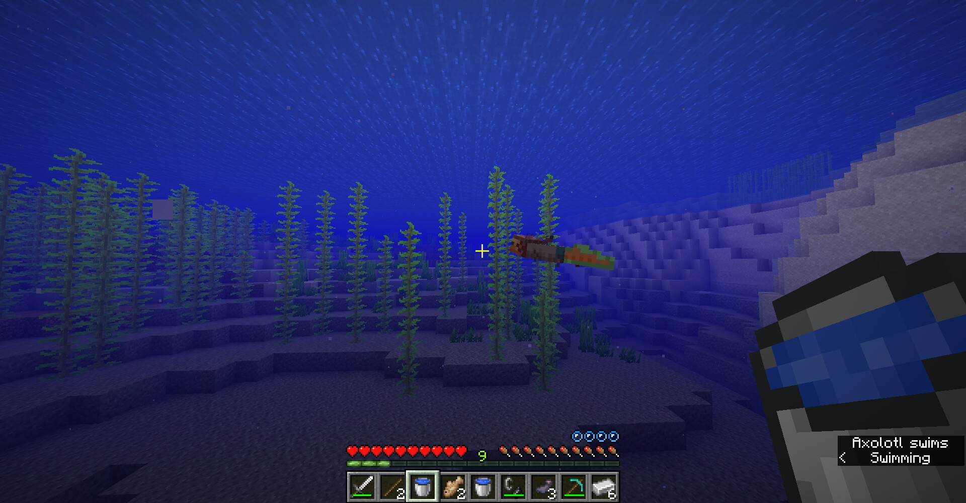 Razputin Gold Axolotl (Java Edition) Minecraft Texture Pack