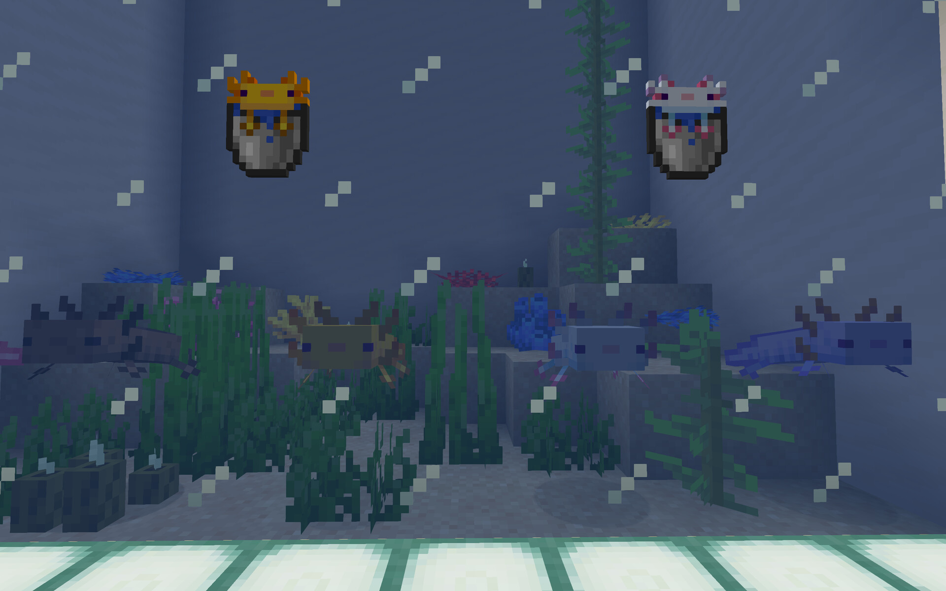 How To Put An Axolotl In A Bucket Minecraft vrogue.co