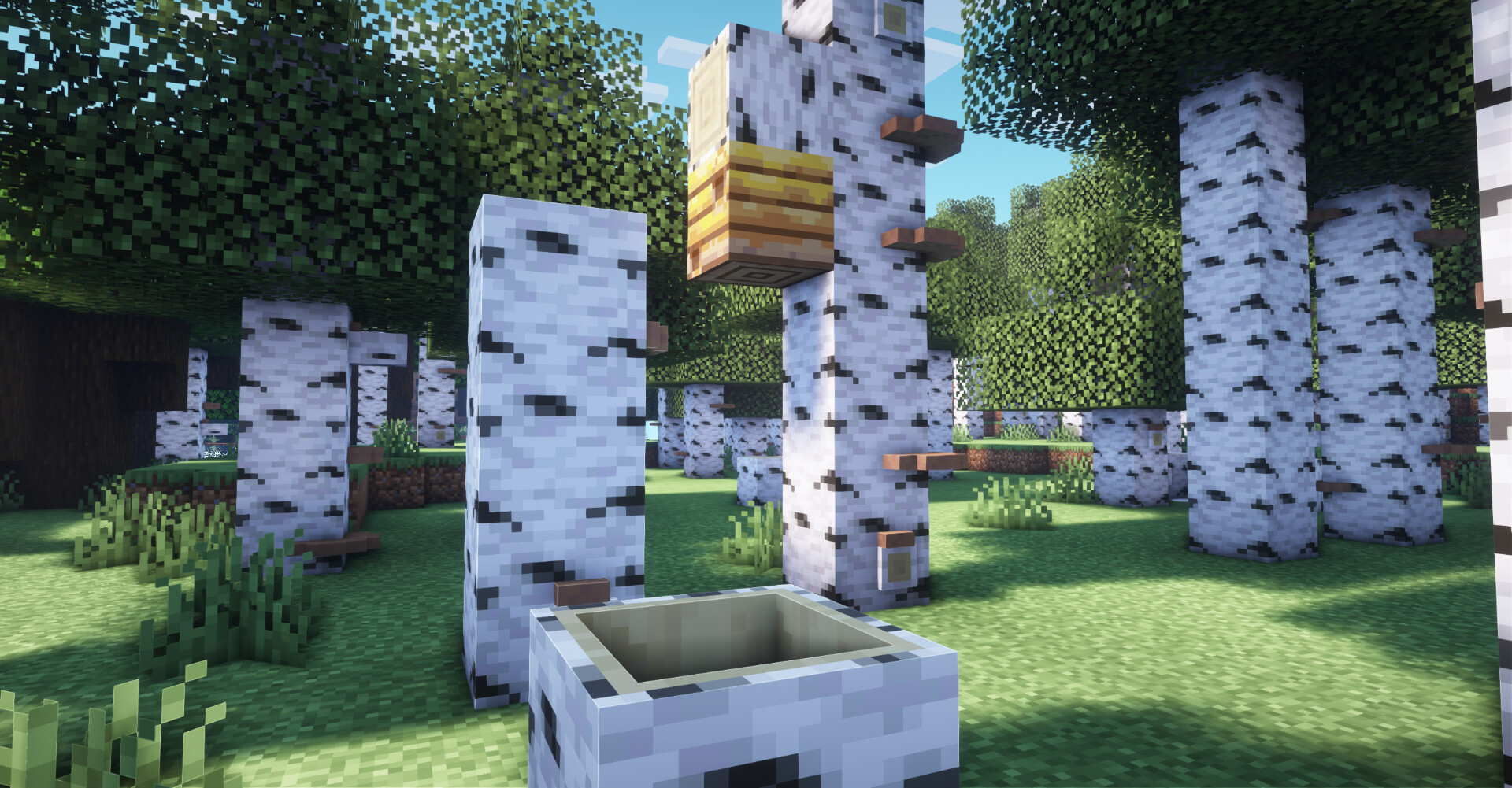 Birch forest concept from Minecraft Live Minecraft Texture Pack