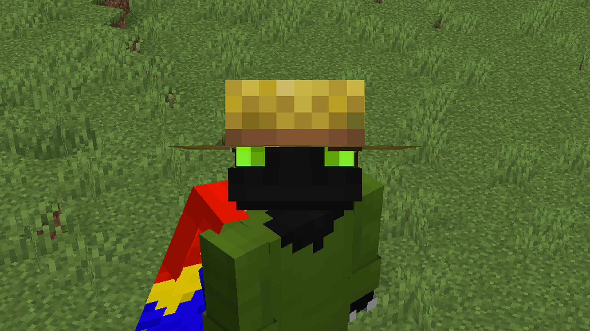 notabirb1's Hat Collection Minecraft Texture Pack