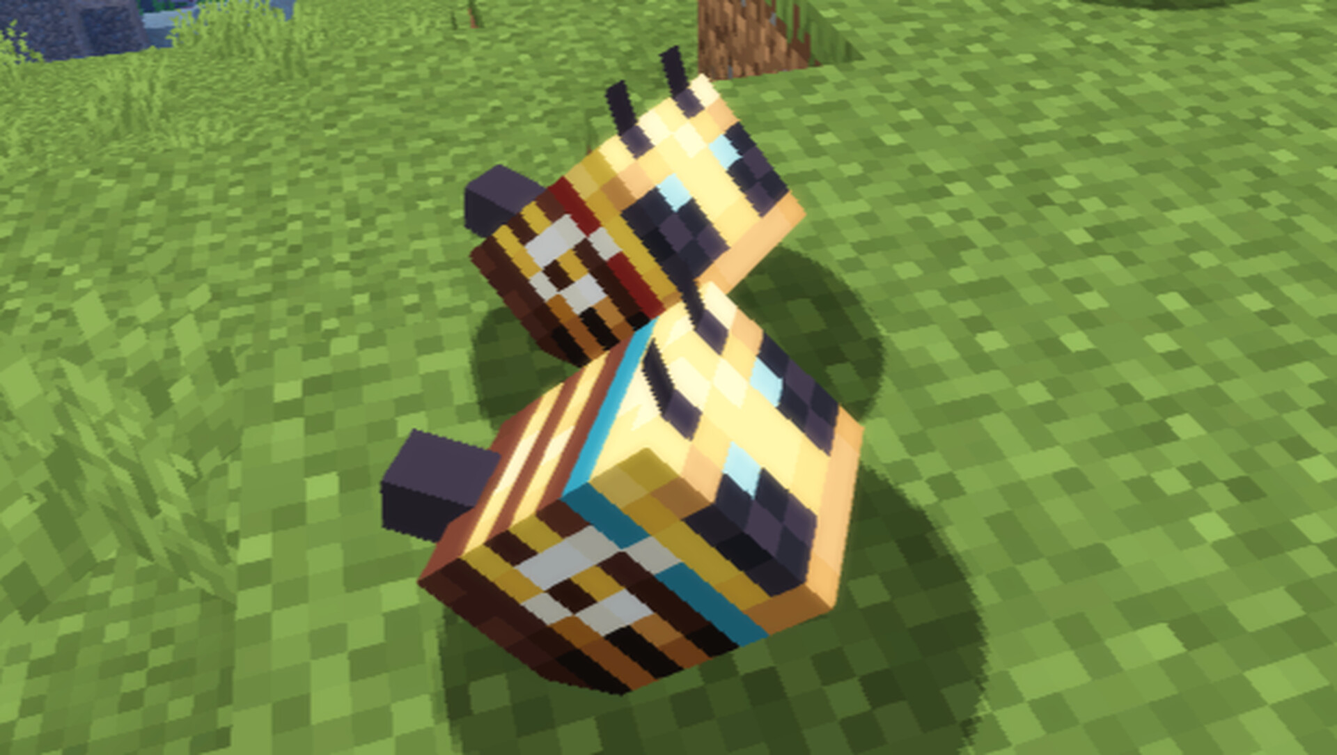 Bees. Minecraft Texture Pack